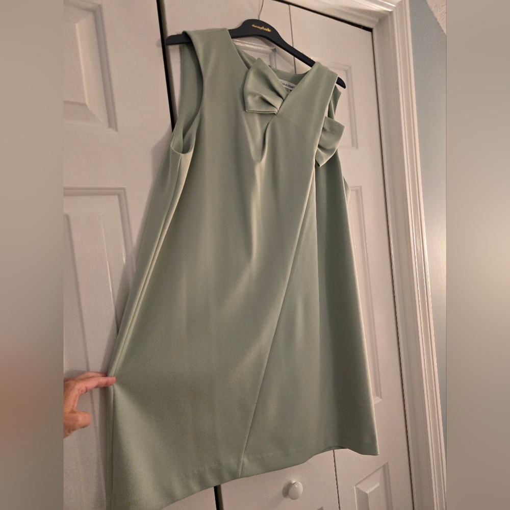 NWT Calvin Klein Sleeveless Knee Length ALine Dress (16)